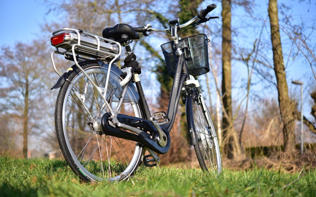 Manuale d’utilizzo della bicicletta elettrica